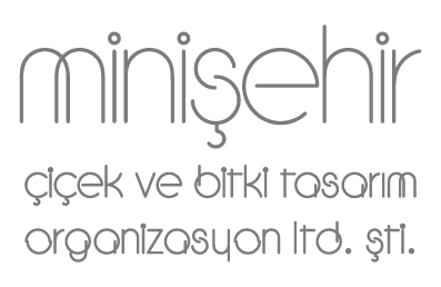 Mini Şehir Çiçek ve Bitki Tasarım Organizasyon